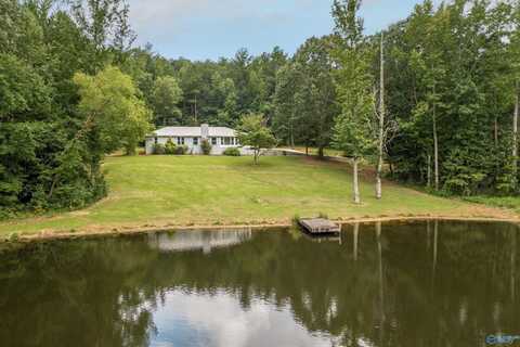 1712 Beason Cove Road, Steele, AL 35987
