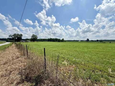 76 County Highway 10, Blountsville, AL 35031
