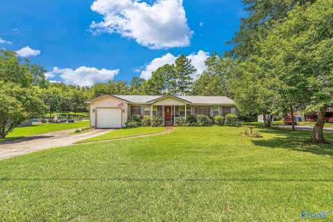 261 Ketchum Road, Blountsville, AL 35031
