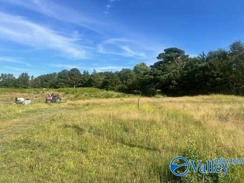 315a Misty Lane, Boaz, AL 35956