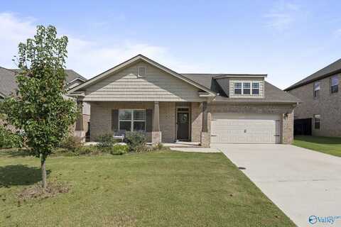 130 Saddle Street, New Market, AL 35761