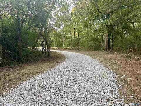3.82 Acres Alabama Highway 251, Athens, AL 35613