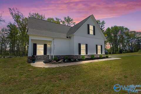 15176 Blendor Crooks, Athens, AL 35611