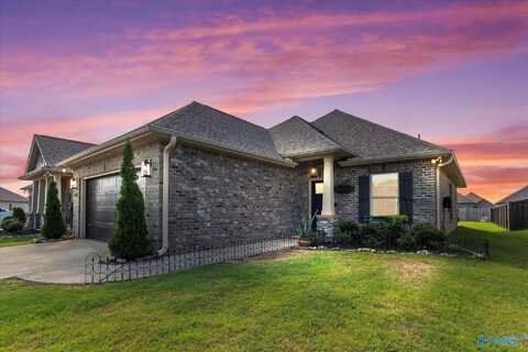 26304 Kennesaw Bluff Drive, Athens, AL 35613