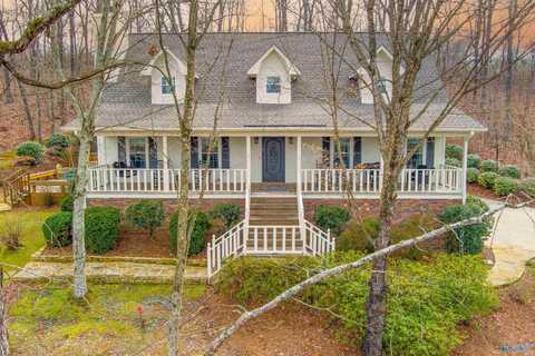 4209 Rollingwood Drive, Southside, AL 35907