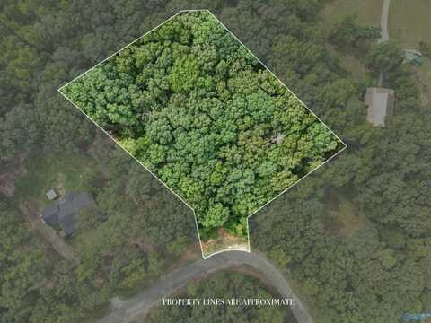 Lot 14 County Road 379, Trinity, AL 35673