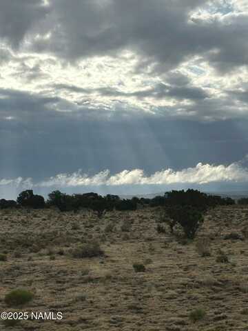 12393 Mesa View Road, Williams, AZ 86046