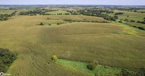 Cedar Avenue, Lineville, IA 50147