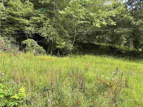 TBD Marquess Road, Tunnelton, WV 26444