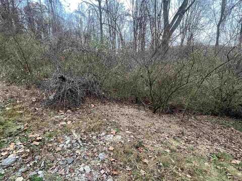 1154 Brady Gate Road, Monterville, WV 26282