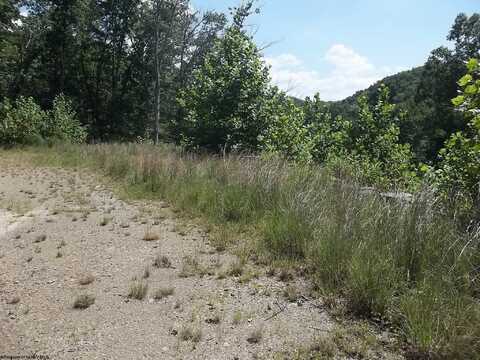 Lot 28 Woodland Drive, Beverly, WV 26253