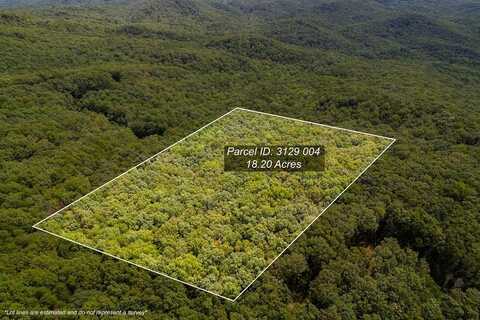 18 Acres Piney Spur Road S, Ellijay, GA 30536