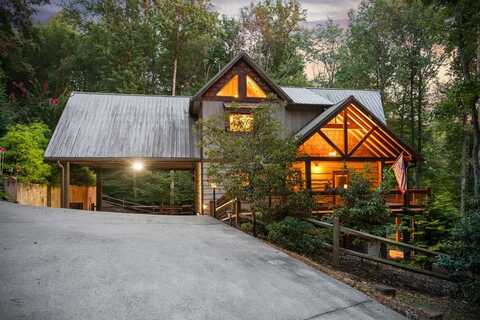 12 Heights Overlook, Cherry Log, GA 30522