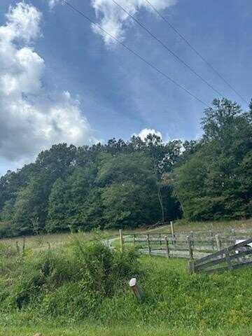 Tr 1 Rev Burch Cove Road, Hayesville, NC 28904