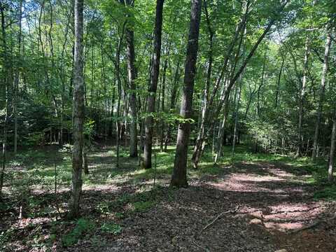 2 Acres Bennington Drive, Blairsville, GA 30512