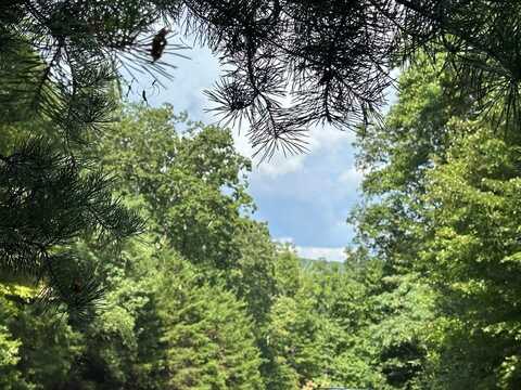 257 Andes Ridge, Ellijay, GA 30175
