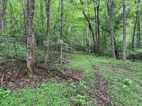 Lt 32 Johnson Mill Road, Ellijay, GA 30536
