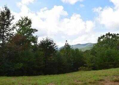 114 Blackhawk Lane, Turtletown, TN 37391