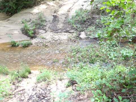 TBD FSR 536, Kennard, TX 75847