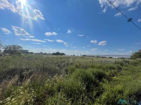 Hwy 467, Portales, NM 88130
