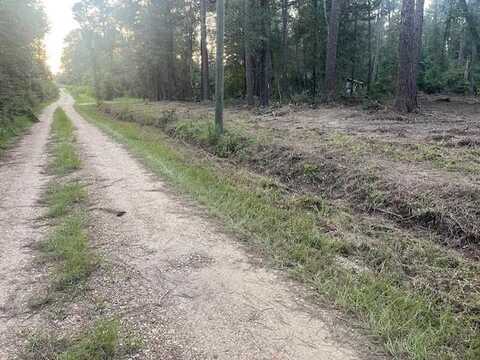 SHORTY WILSON Drive, Loranger, LA 70446