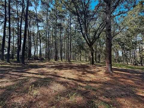 Lot 2 HWY 16 None, Franklinton, LA 70438