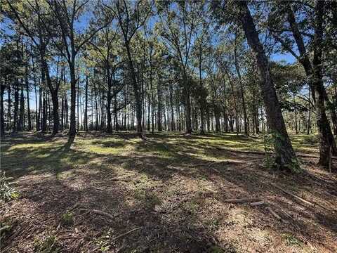 Lot 1 HWY 16 Highway, Franklinton, LA 70438