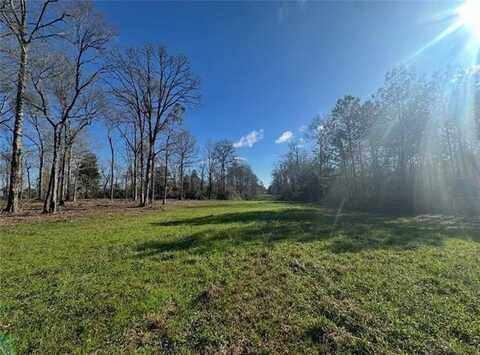 Lot 19 HWY 16 None, Franklinton, LA 70438