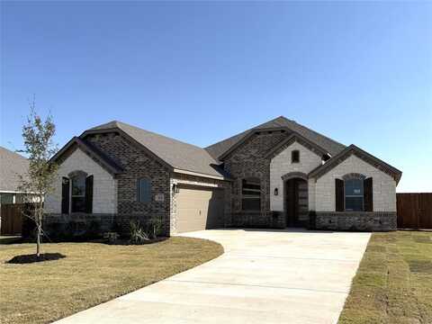 113 Grey Wolf Court, Godley, TX 76044