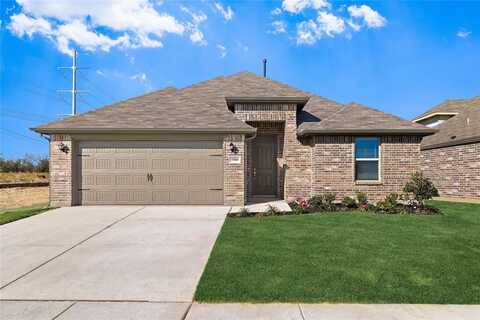 5909 Lovills Creek Street, Fort Worth, TX 76179