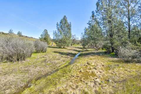 13012 Highway 124, Ione, CA 95640