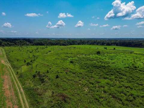0 Alabama Ave / Co Rd 37, Thorsby, AL 35045