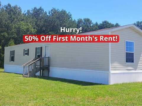 1521 Nancys Dr, Darlington, SC 29532
