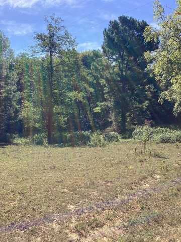 Tract 2 Neafus Rd., Horse Branch, KY 42349