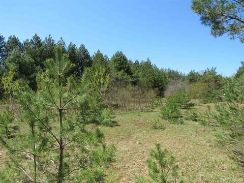 40 Acres Off Snowmobile Trail 133, Mohawk, MI 49950