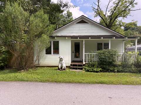 211 Blair St, Tiger, GA 30576