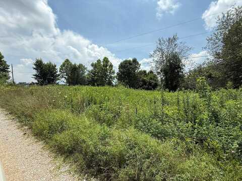 375 Langley Dr, Big Clifty, KY 42712