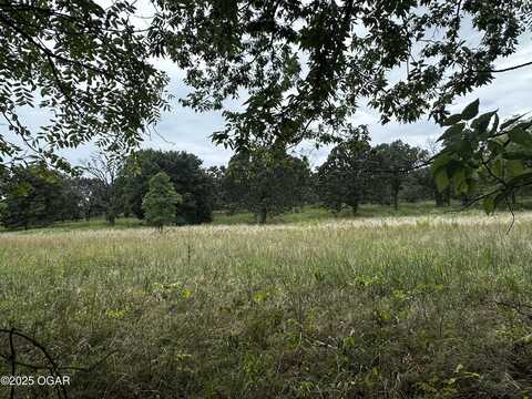Tbd 6.99 S Chapel Road, Carthage, MO 64836