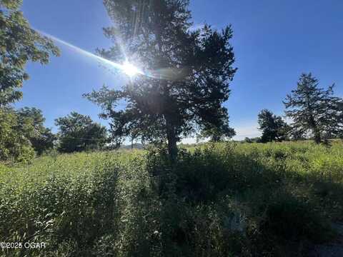 100 Janett Street, West Mineral, KS 66782