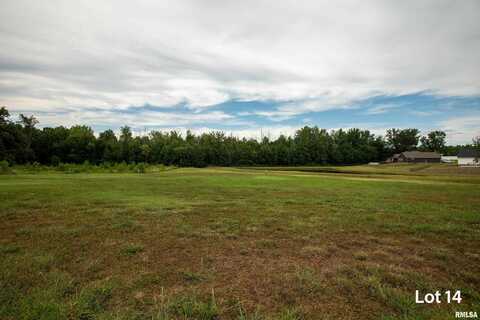 1301 WAYNE Avenue, Marion, IL 62959