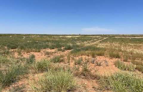 S Hwy 208, Snyder, TX 79549