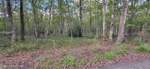 Poplar Lane, Jim Thorpe, PA 18229