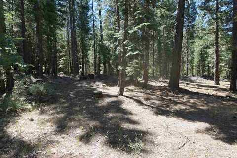 2420 & 2440 Crooked Creek Lane, Quincy, CA 95971