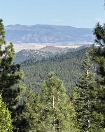 6050 W Bitterbrush Road, Lake Davis, CA 96103