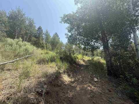 1585 Crocker Court, Portola, CA 96122