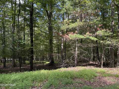 Cedar Ridge Road, Hawley, PA 18428