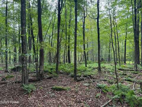 Racht Road, Honesdale, PA 18431