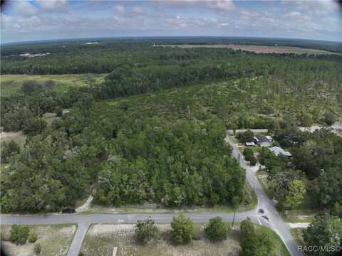 Strickland Avenue, Bell, FL 32619
