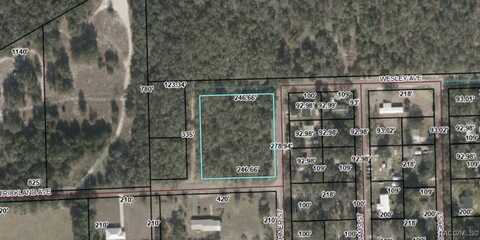 Strickland Avenue, Bell, FL 32619
