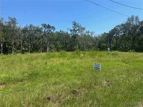 11045 W London Lane, Homosassa, FL 34448